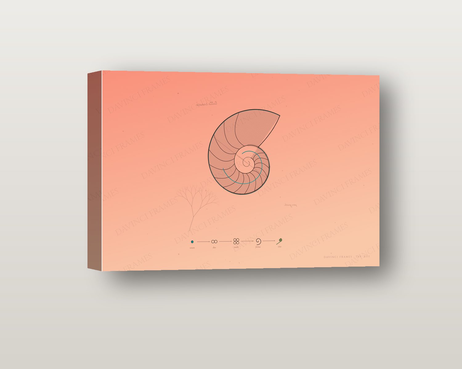 Evolutio shadow box on a wall