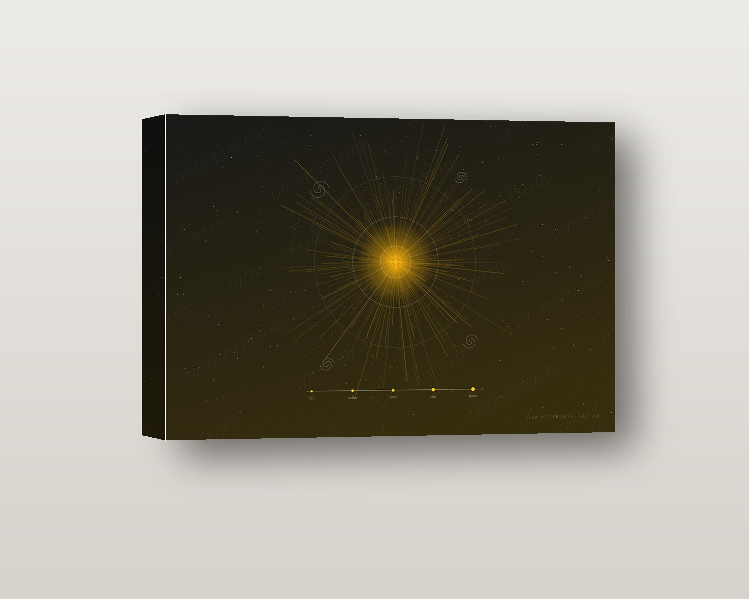 Fiat Lux shadow box on a wall