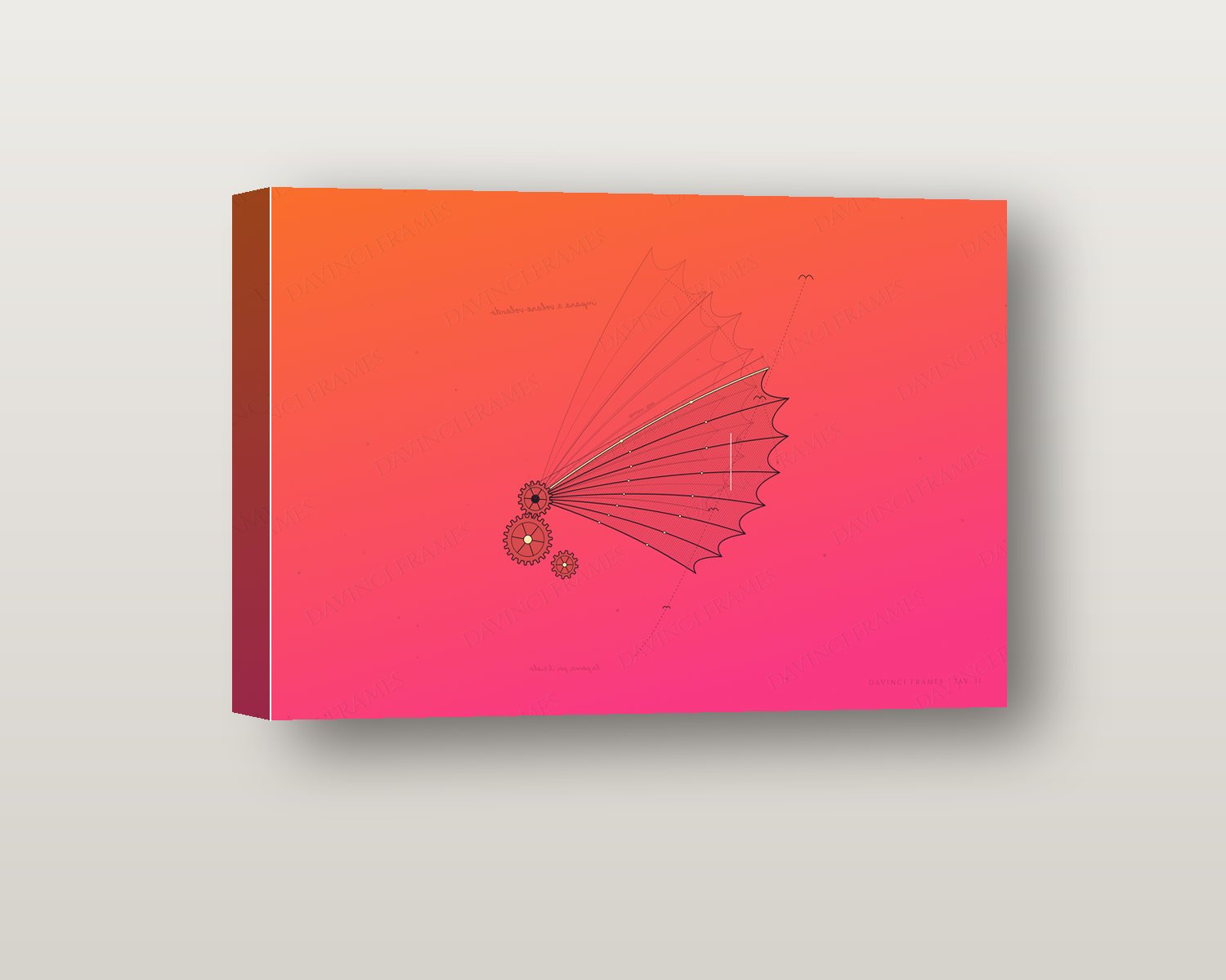 Ornithopter shadow box on a wall